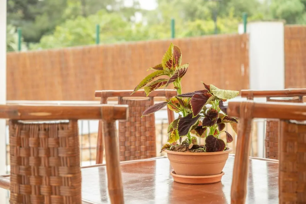 Apartaments Vaixell Santanyi Spain